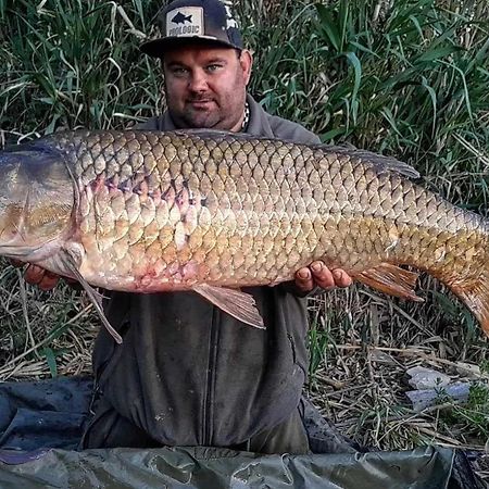 R U Ready Fishing, River Ebro 梅基嫩萨 外观 照片