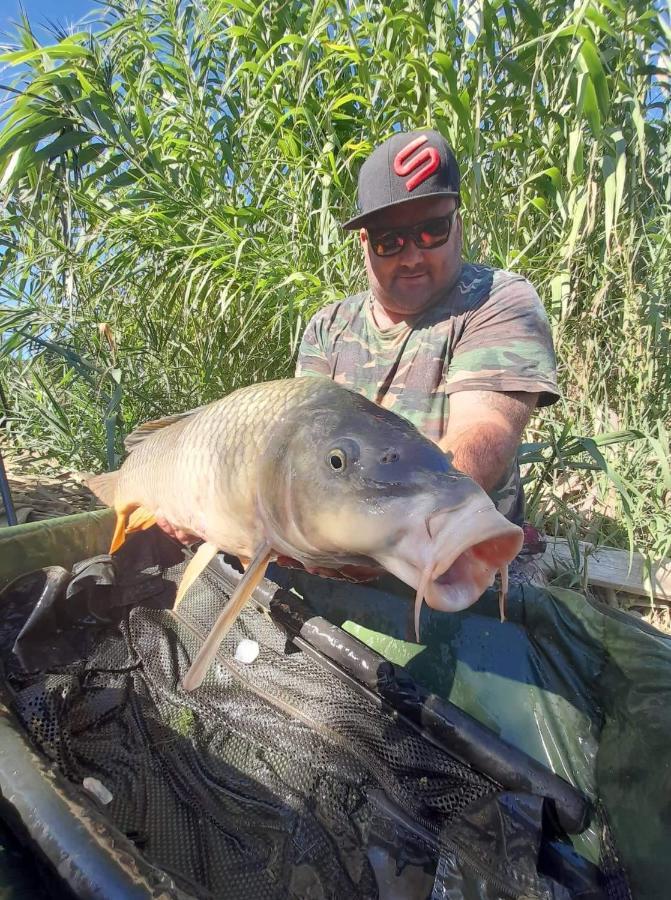 R U Ready Fishing, River Ebro 梅基嫩萨 外观 照片