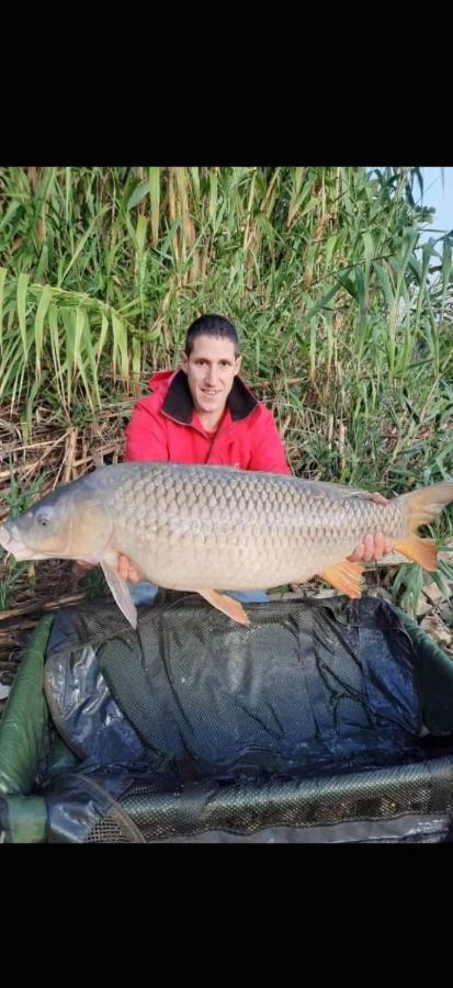 R U Ready Fishing, River Ebro 梅基嫩萨 外观 照片