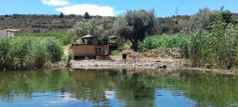 R U Ready Fishing, River Ebro 梅基嫩萨 外观 照片