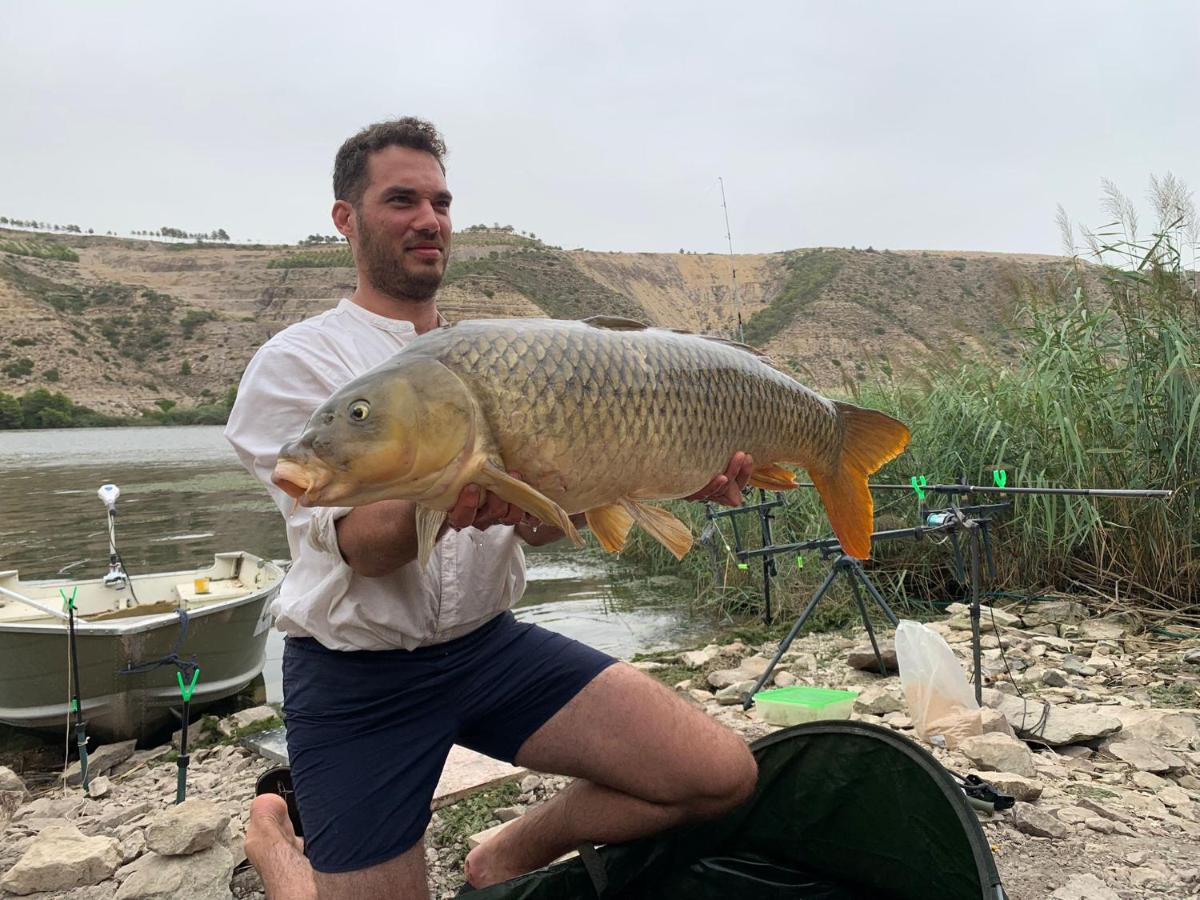 R U Ready Fishing, River Ebro 梅基嫩萨 外观 照片