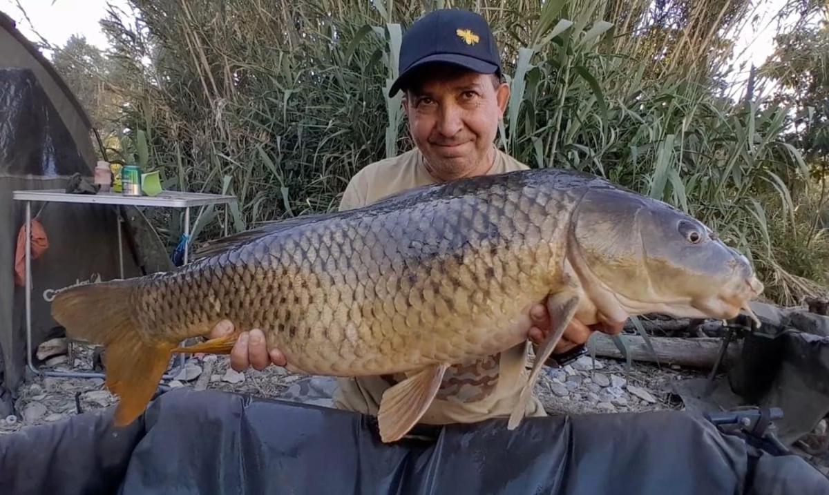 R U Ready Fishing, River Ebro 梅基嫩萨 外观 照片